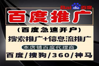 案例分析：SEM推广助力行业竞争突围